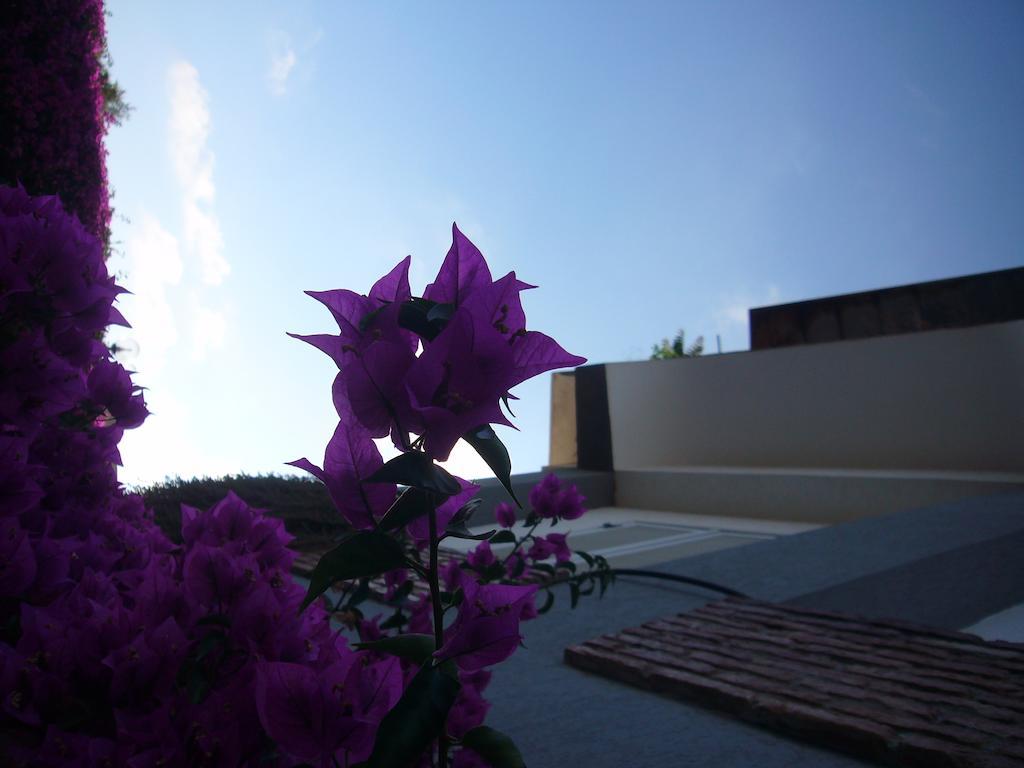 Hotel La Tripergola Pozzuoli Kültér fotó